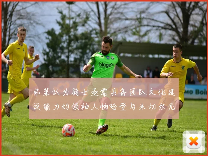 弗莱认为骑士亟需具备团队文化建设能力的领袖人物哈登与米切尔无法胜任