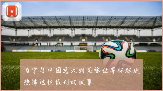 马宁与中国意大利无缘世界杯球迷热捧这位裁判的故事