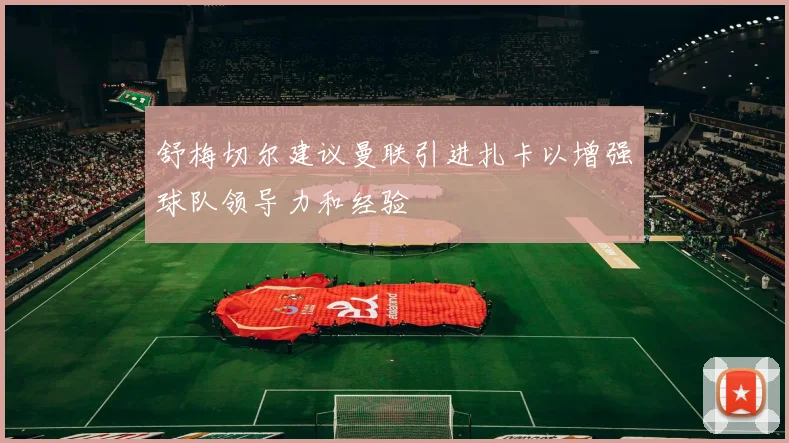 舒梅切尔建议曼联引进扎卡以增强球队领导力和经验
